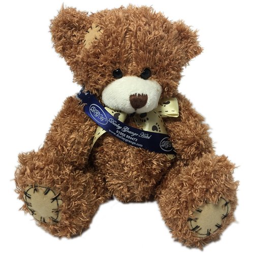 18-cm Paw Bear with Sash Main Image