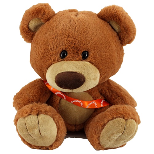 25cm Bernard Bear with Sash Main Image