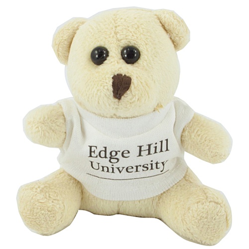 10cm Mini Beanie Bear with T-Shirt Main Image