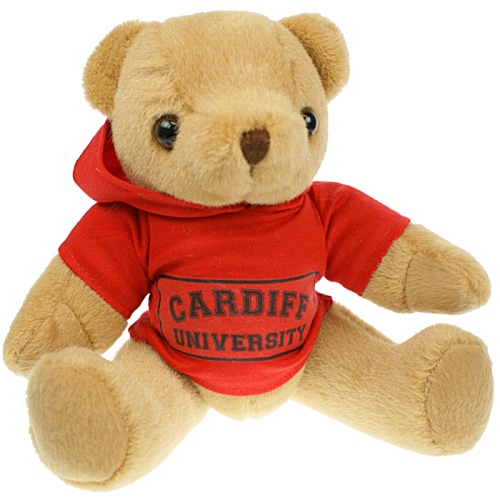 20-cm Jointed Honey Bear with Hoody Main Image