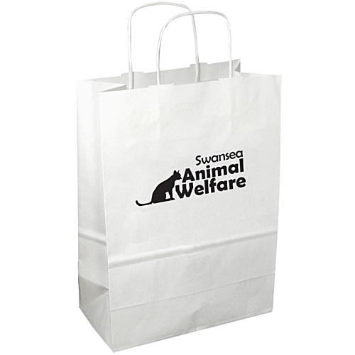 DISC Kempton Paper Bag - Medium Main Image