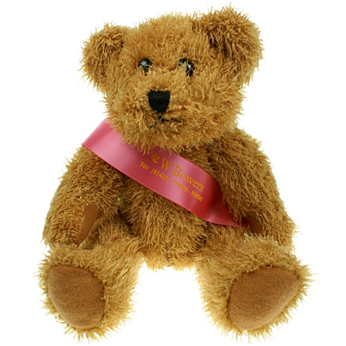 25cm Sparkie Bear with Sash Main Image