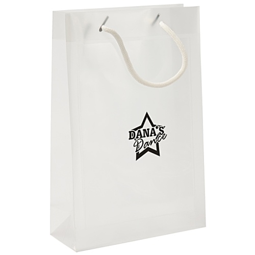DISC A5 Clear Gift Bag Main Image