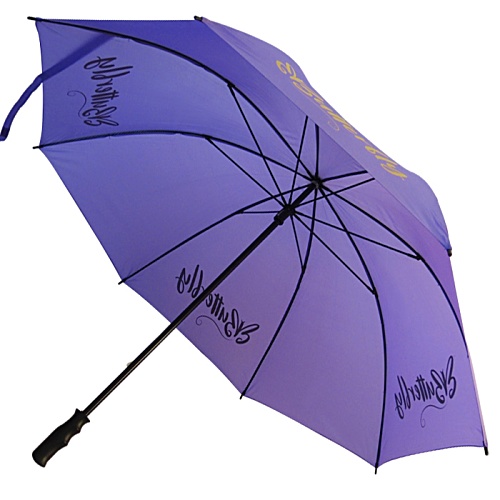 Budget Plus Umbrella Main Image