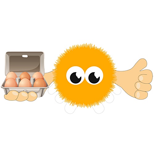 Egg Box Message Bug Main Image