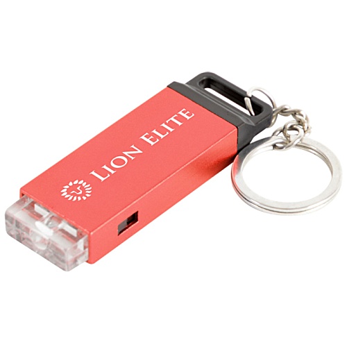 DISC Haxby Keyring Torch - Printed Main Image