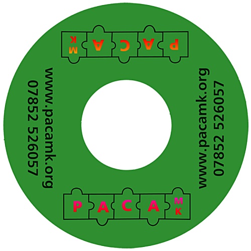 DISC Foam Flyer - 230mm Main Image