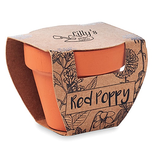 Poppy Terracotta Pot Main Image