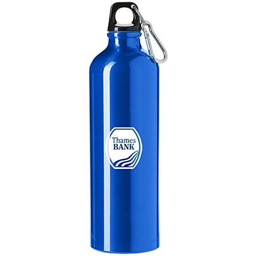 DISC Paramount Aluminium Bottle - Printed Main Image