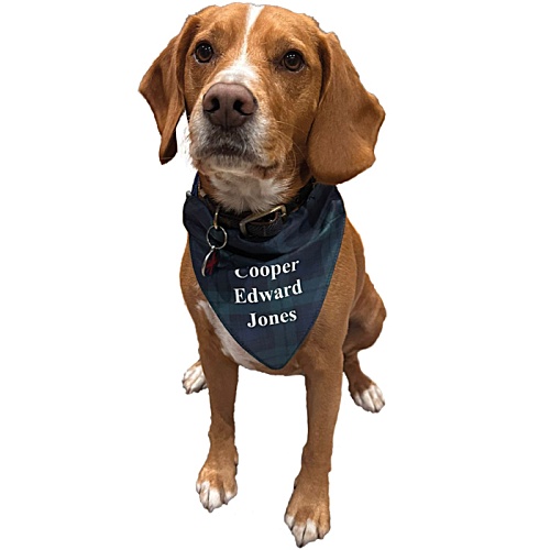 Dog Bandana Main Image