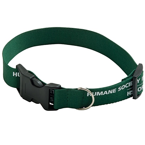 Dog Collar Main Image
