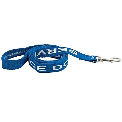 Dog Lead - Long Main Image