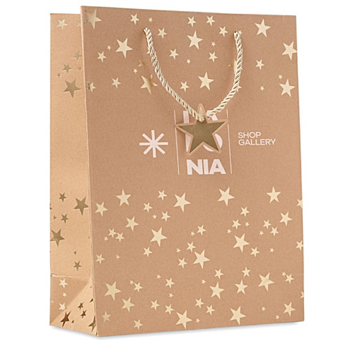 Sparkle Paper Gift Bag Main Image