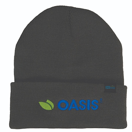 Whitby Cuffed Beanie Main Image