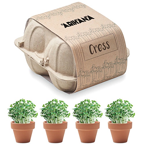 4 Pot Cress Kit Main Image