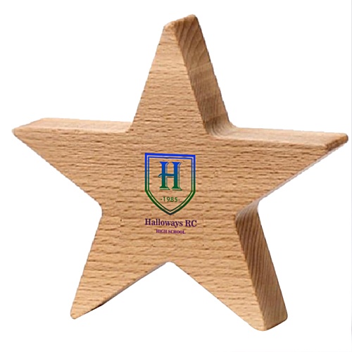 130mm Beech Star Award - Digital Print Main Image