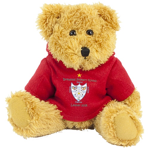 30cm Sparkie Bear with Hoody Main Image