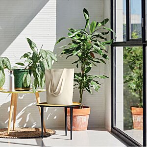 Additional Image 3 - a room with plants in pots