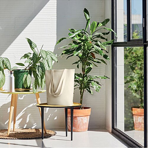 Additional Image 3 - a room with plants in pots