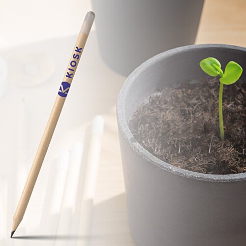 Additional Image 1 - a plant in a pot