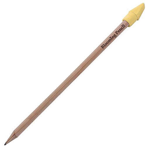 Additional Image 2 - a close-up of a pencil