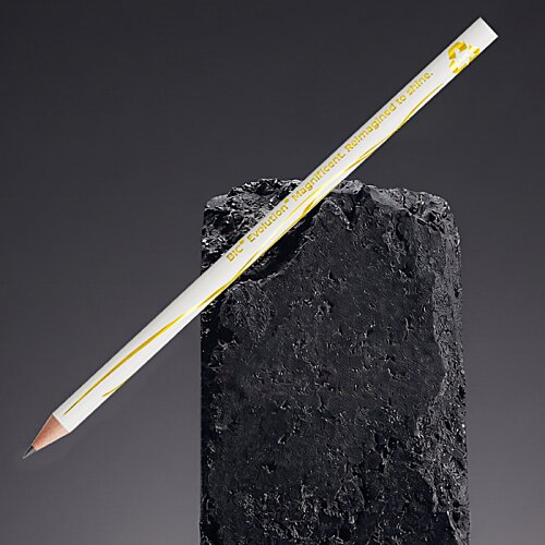 Additional Image 1 - a pencil on a rock