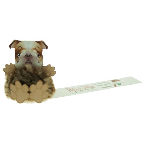 Additional Image 6 - a dog sitting on a white surface