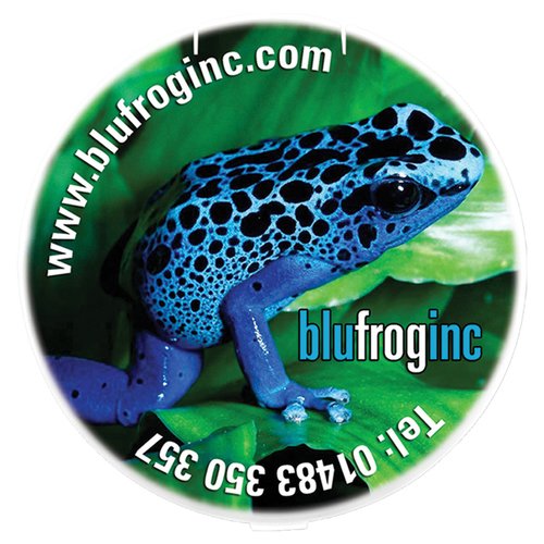 Additional Image 1 - a blue frog on a green leaf