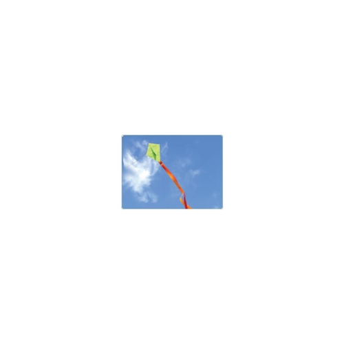 Additional Image 1 - a blue square with a green and white logo