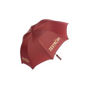 Additional Image 1 - a red umbrella with a handle