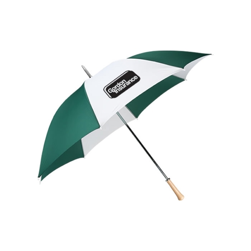 Additional Image 1 - a green and white umbrella