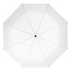 a top view of an umbrella