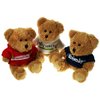 View Image 2 of 2 of DISC Sparkie Bear