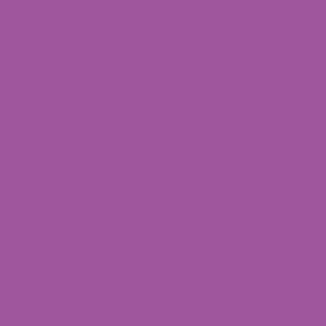 Additional Image 10 - a purple square with a white border