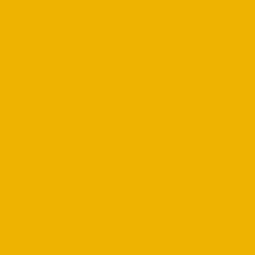 Additional Image 13 - a yellow square with a black spot