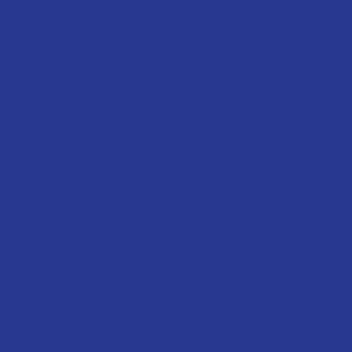 Additional Image 16 - a blue square with white lines