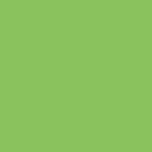 Additional Image 2 - a green square with a black line