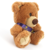 View Image 4 of 4 of 15cm Charlene Bear with Sash