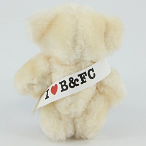 Additional Image 1 - a small white teddy bear with a white band around its neck
