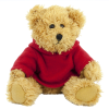 View Image 2 of 14 of 20cm Sparkie Bear with Hoody