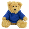 View Image 3 of 14 of 20cm Sparkie Bear with Hoody