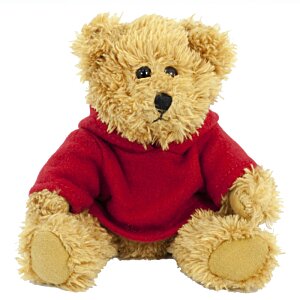 Additional Image 1 - a teddy bear wearing a red shirt