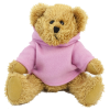 View Image 10 of 13 of 25cm Sparkie Bear with Hoody