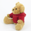 View Image 7 of 13 of 25cm Sparkie Bear with Hoody