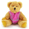 Additional Thumbnail Image 4 - a stuffed bear wearing a pink vest