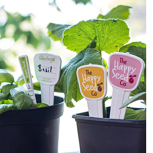 Additional Image 2 - a group of plants in pots