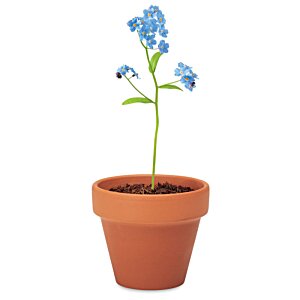 Additional Image 1 - a flower in a pot