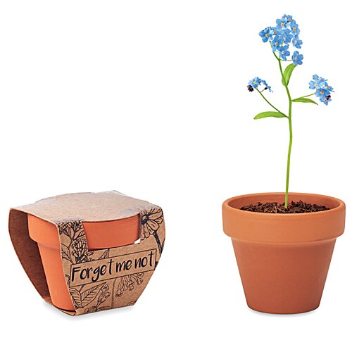 Additional Image 2 - a plant in a pot