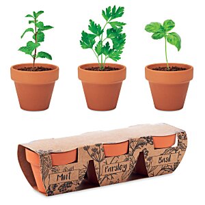 Additional Image 1 - a group of potted plants