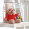 View Image 3 of 6 of Teddy with Hoody